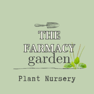 Plant Nursery